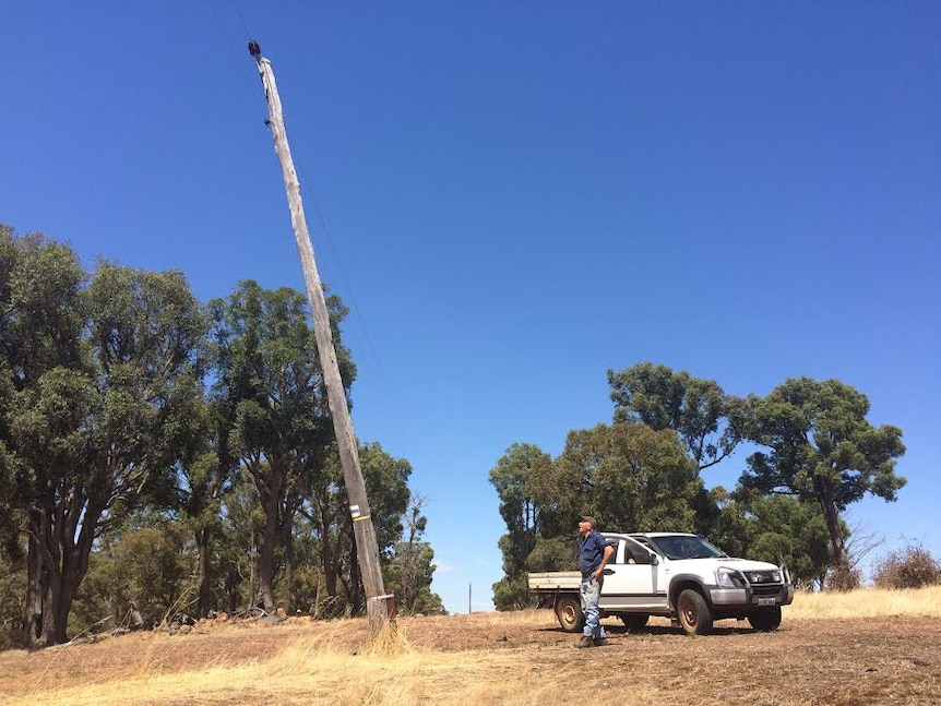 A wooden power pole that has deteriorated at the base leans on an angle of about 20 degrees on a tree farm in Boyup Brook, WA.