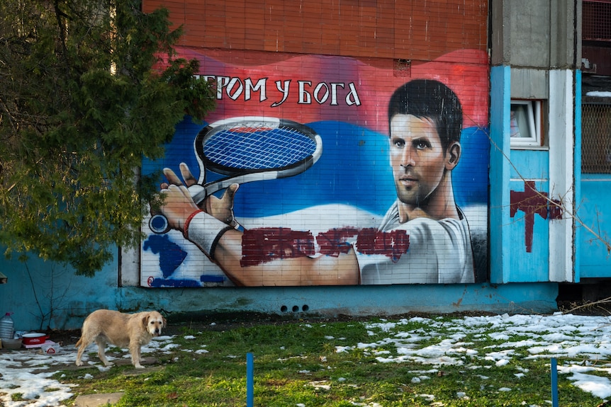 A mural of tennis star Novak Djokovic on the side of a building in Belgrade, Serbia.