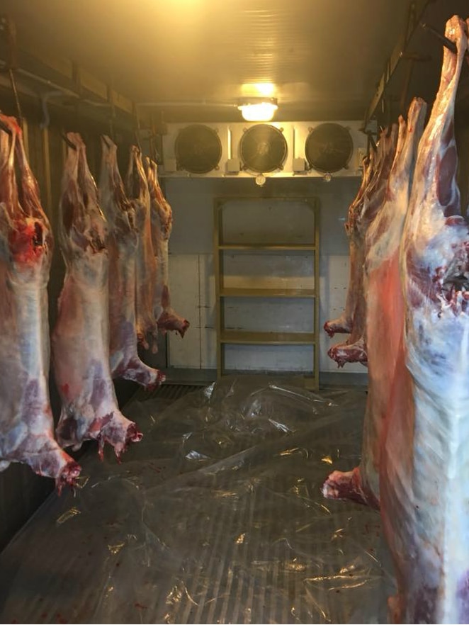 Animal carcasses hung up