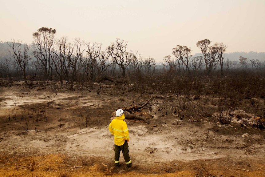 Hot, windy conditions fresh challenge for WA firefighters