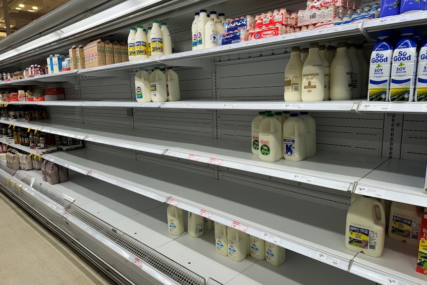 only a few cartons of milk on relatively bare supermarket shelves