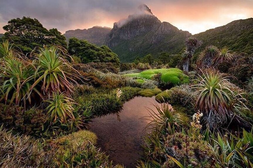 Base of Mount Anne, Tasmania.