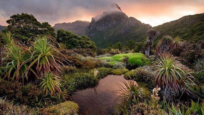 Base of Mount Anne, Tasmania.