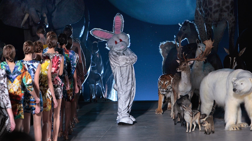 Runway stage with models walking off on one side, stuffed animals on the other, and in middle a figure in a bunny suit.