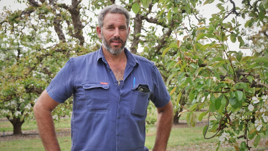 A man wearing a blue shirt, standing with hands on hips with trees in the background.