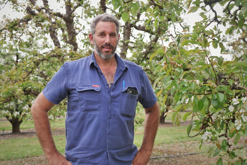 A man wearing a blue shirt, standing with hands on hips with trees in the background.