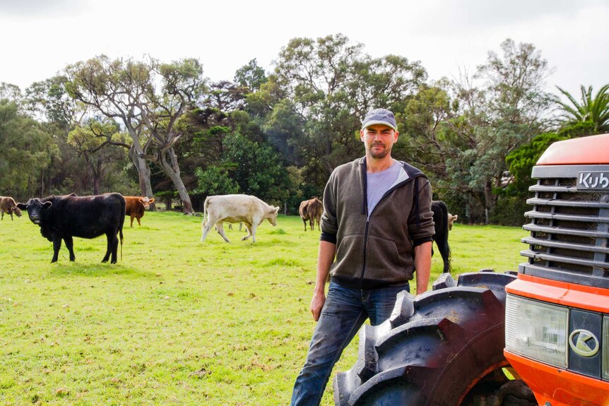 A man wearing jeans and a brown hoodie stands next to a tractor, with cows feeding on green grass in the background.