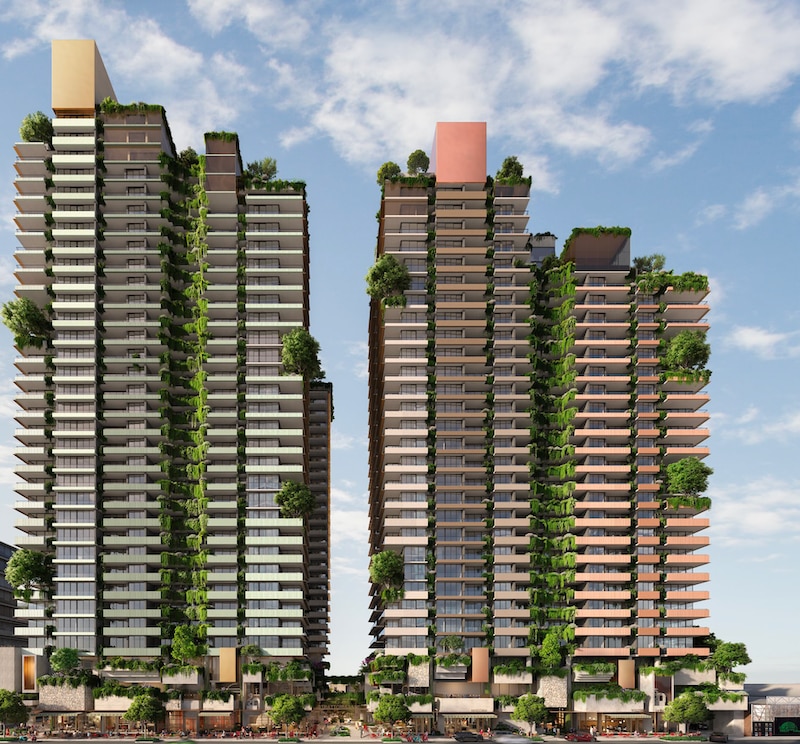 Panettiere Development