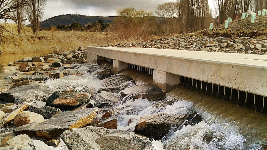 Water from the Murrumbidgee River flows into Burra creek through the new Googong transfer pipeline.