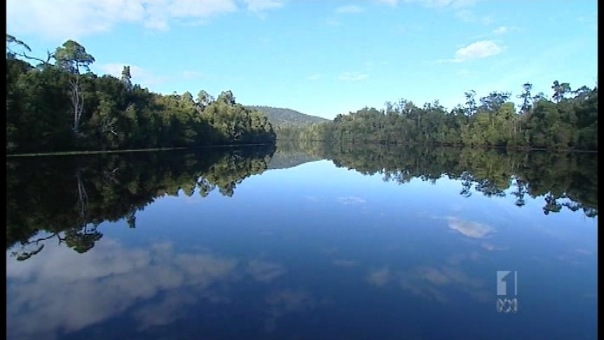 Burke reconsiders lapsed protection for Tarkine