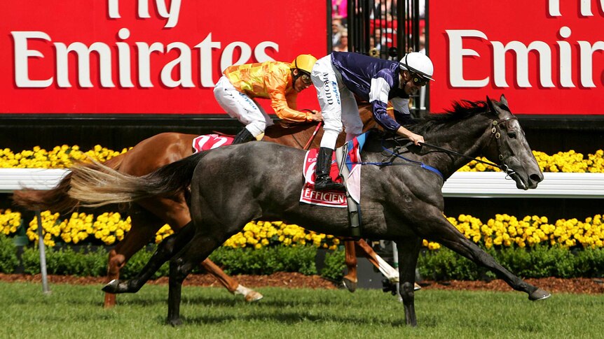 Happy days ... Efficient winning the 2007 Melbourne Cup