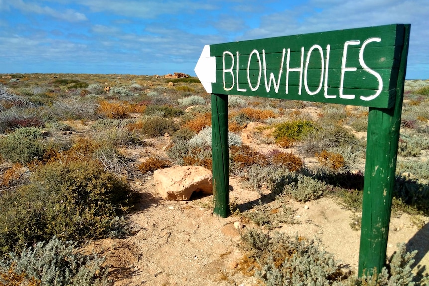 A green wooden painted sign reading 'blowholes' pointing across sand dunes.