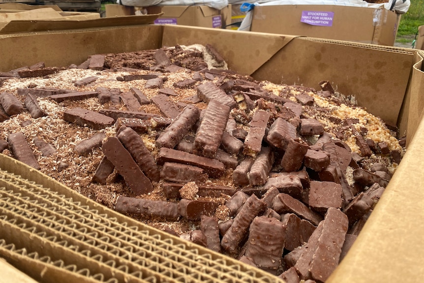 Chocolate bars and coconut in a large cardboard box