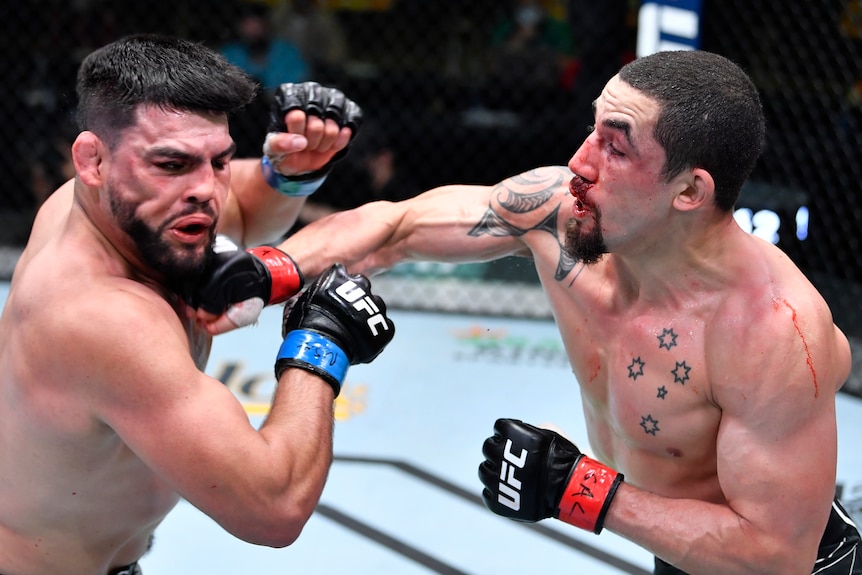 Robert Whittaker punching Kelvin Gastelum in a middleweight UFC fight 