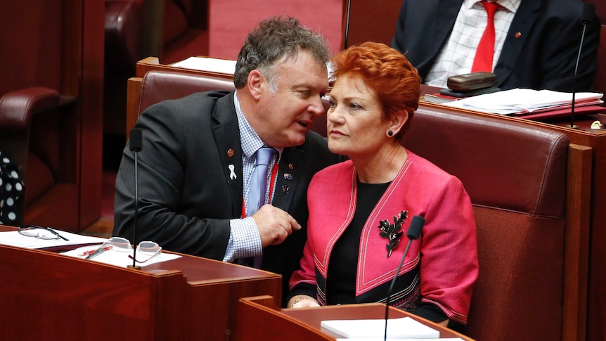 One Nation senator Rod Culleton leans in to speak to Pauline Hanson in the Senate on November 24, 2016.