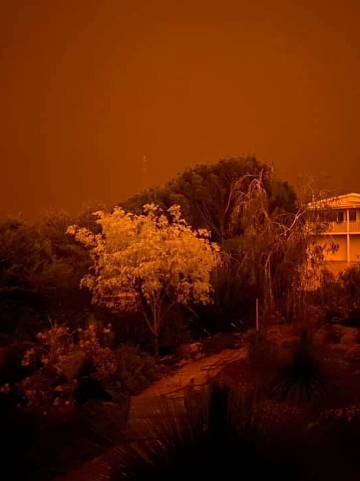 A photo of a tree and a house against a black-orange sky.