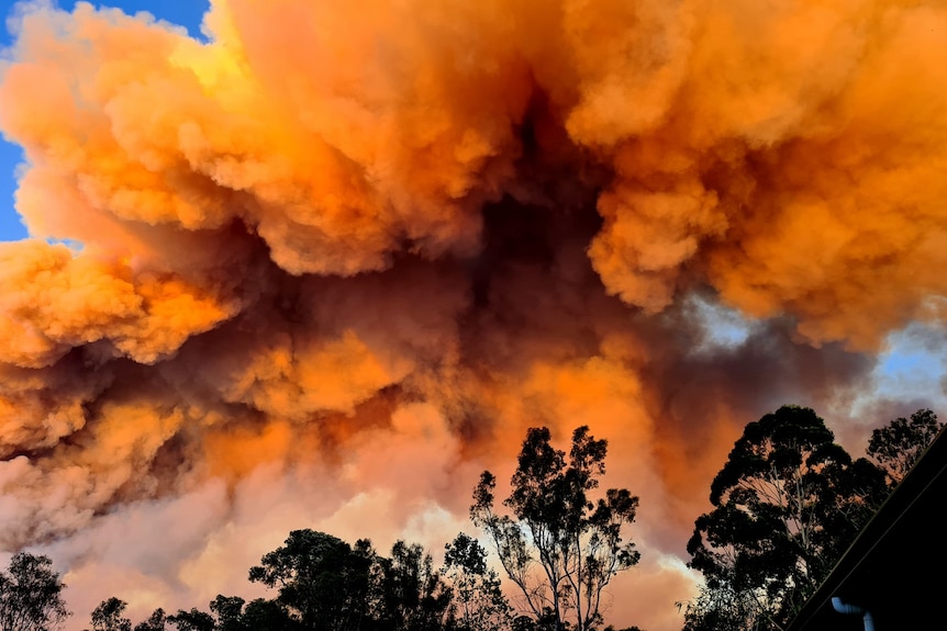 A huge puff of orange smoke rises into the sky from a bushfire.