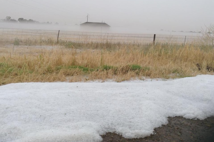 Hail stones piled up in a field