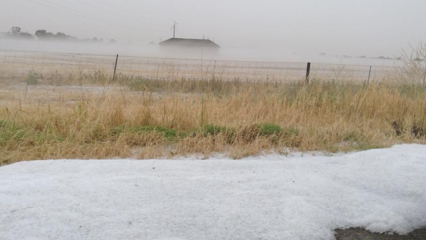 Hail stones piled up in a field