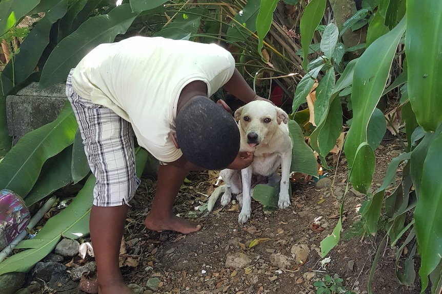 A boy tried to free a small white dog tied to a tree. 