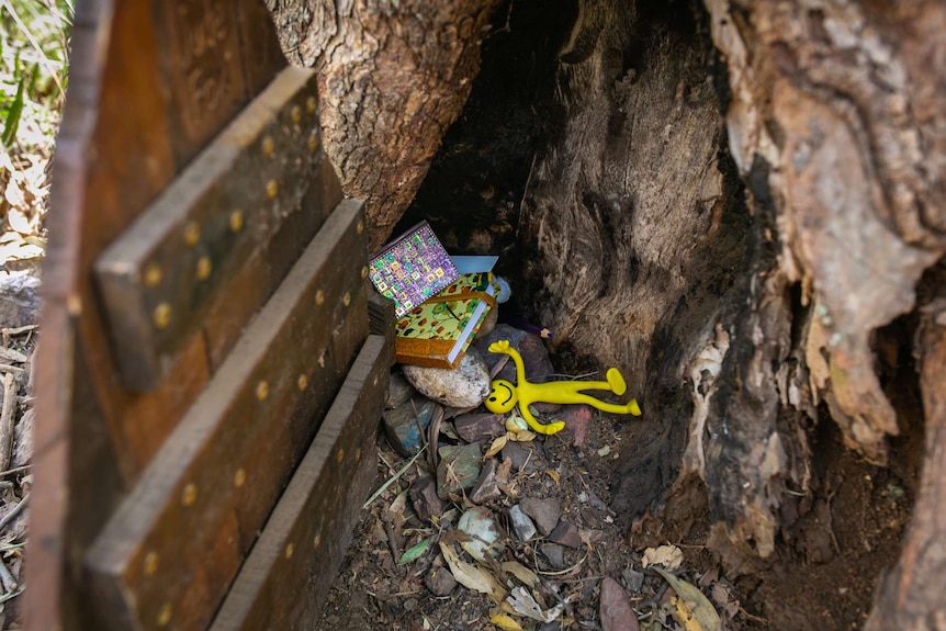 Small notebooks and toys in a hole in a tree.