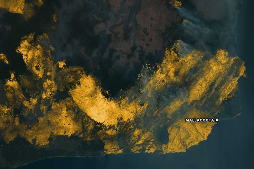 Satellite imagery showing fire scarring near Mallacoota