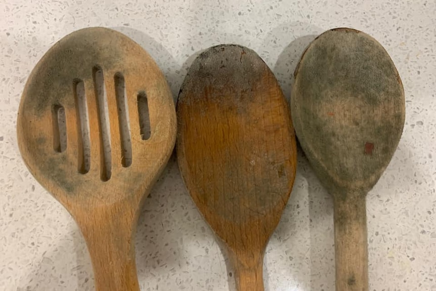 Mouldy wooden cooking utensils