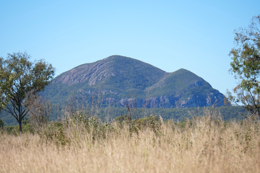 A large mountain with two humps, tall grass and trees in foreground, blue sky in background.