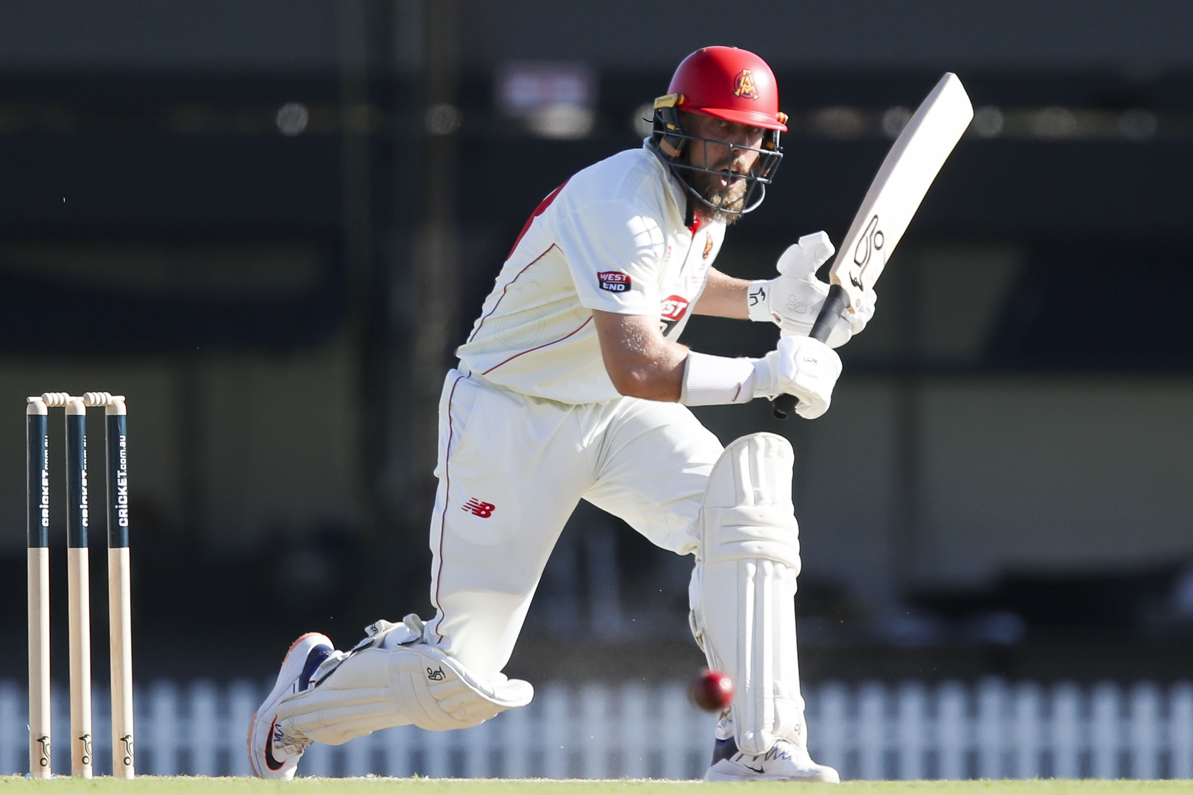 Sheffield Shield final live: South Australia aims to build big first innings lead