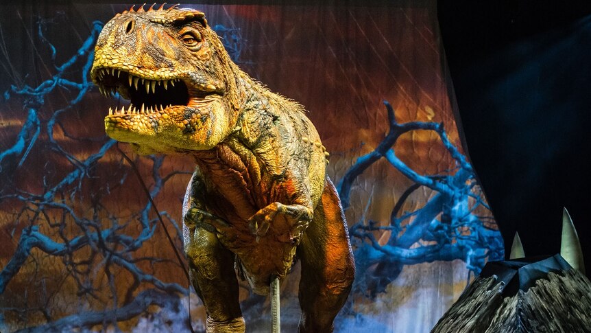 A robotic Tyrannosaurus Rex roars as part of the Walking with Dinosaurs production.