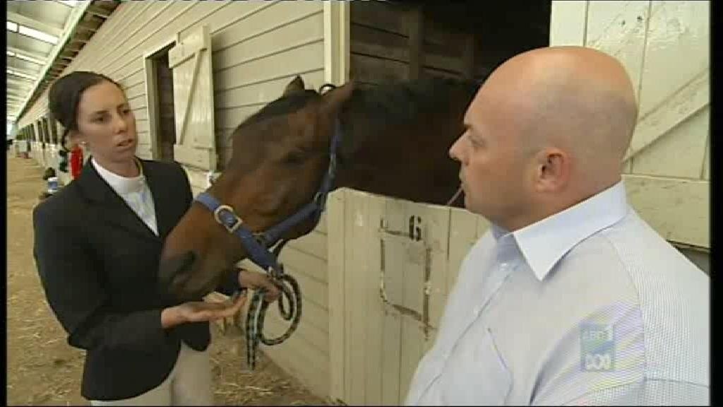 Tim Cox - ABC News