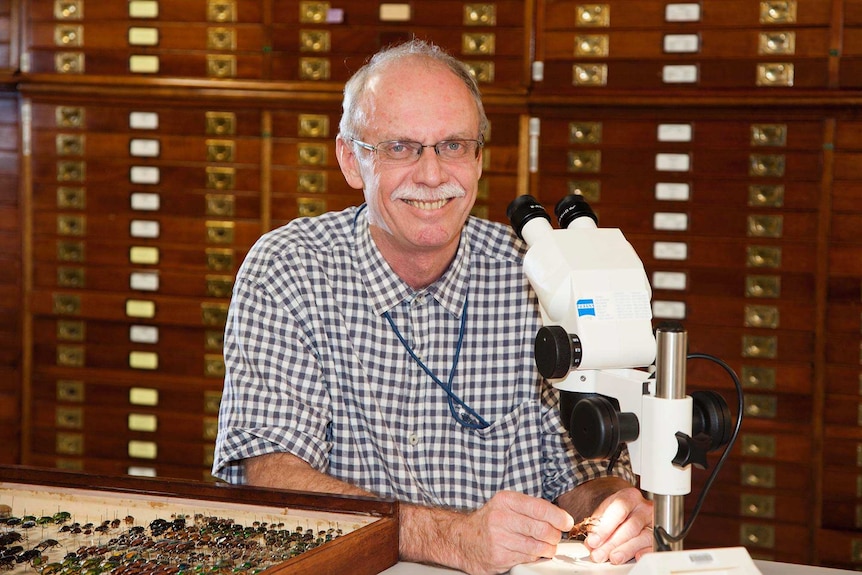 Photo of Dr Ken Walker in front of a microscope surrounded by drawers of bugs