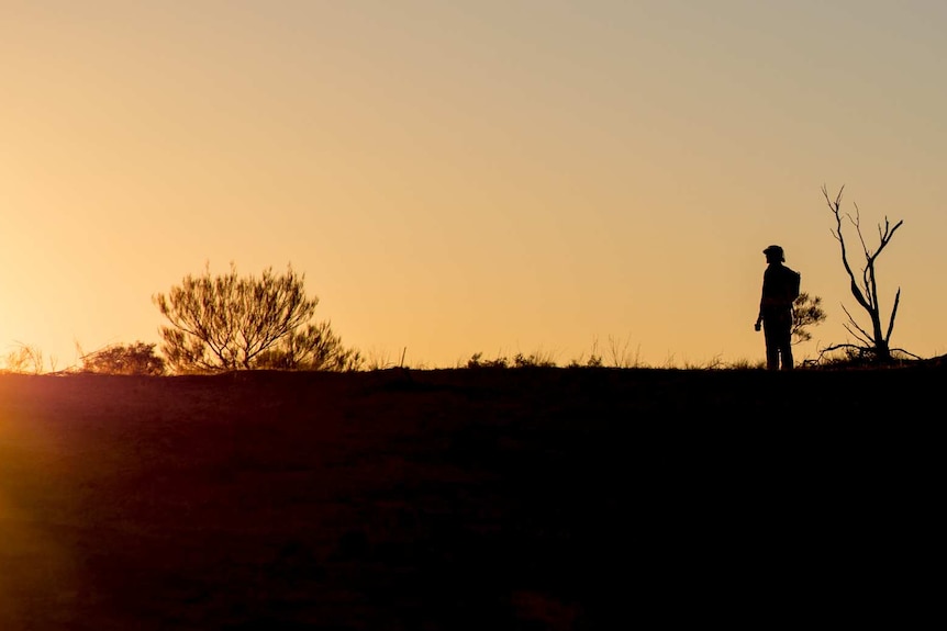 A person stands on the desert horizon silhouetted by the setting sun.