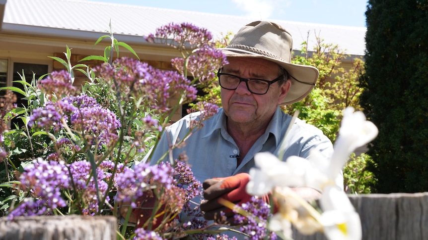 Toowoomba garden