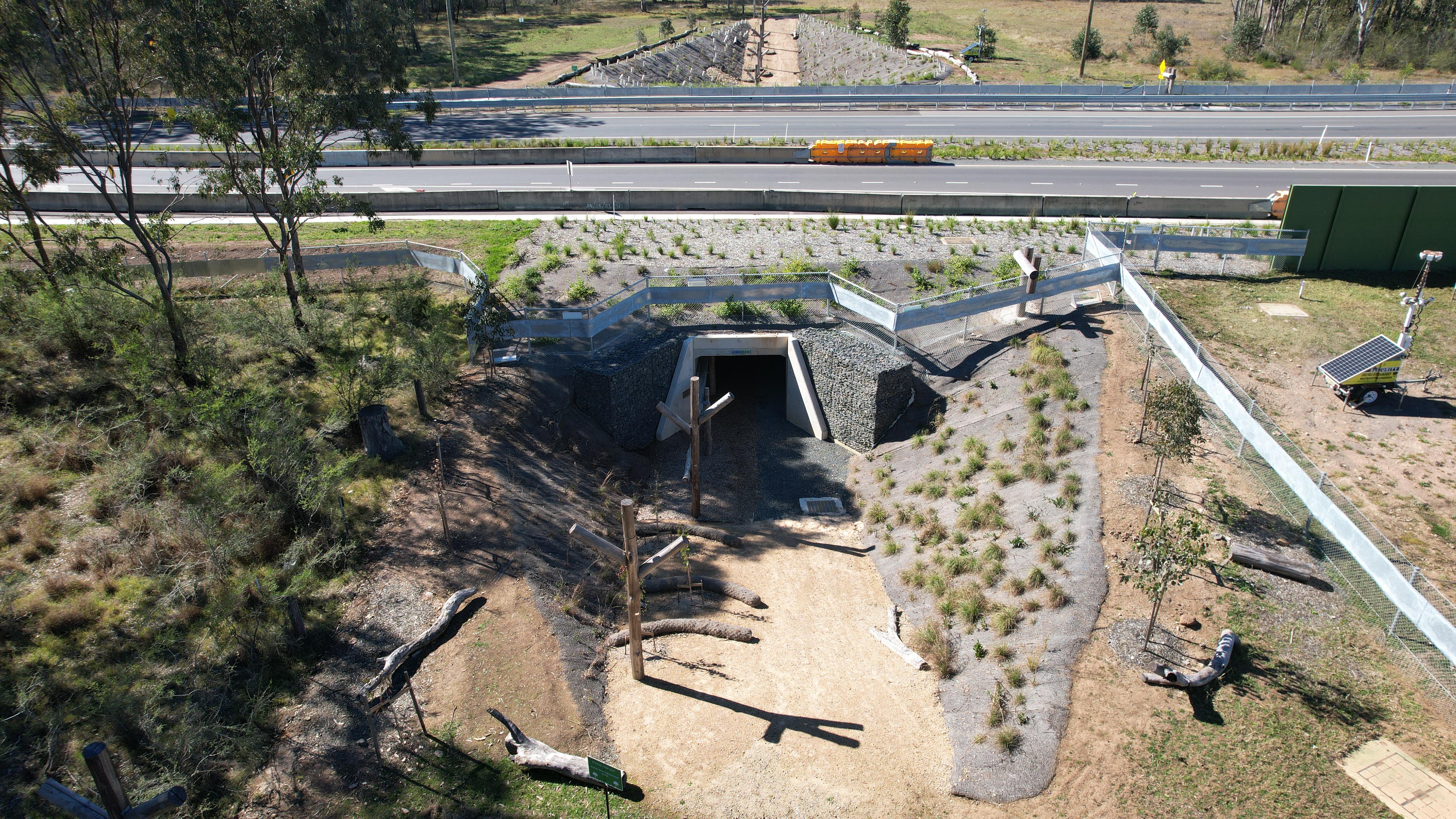 $12m koala underpass not used in five months