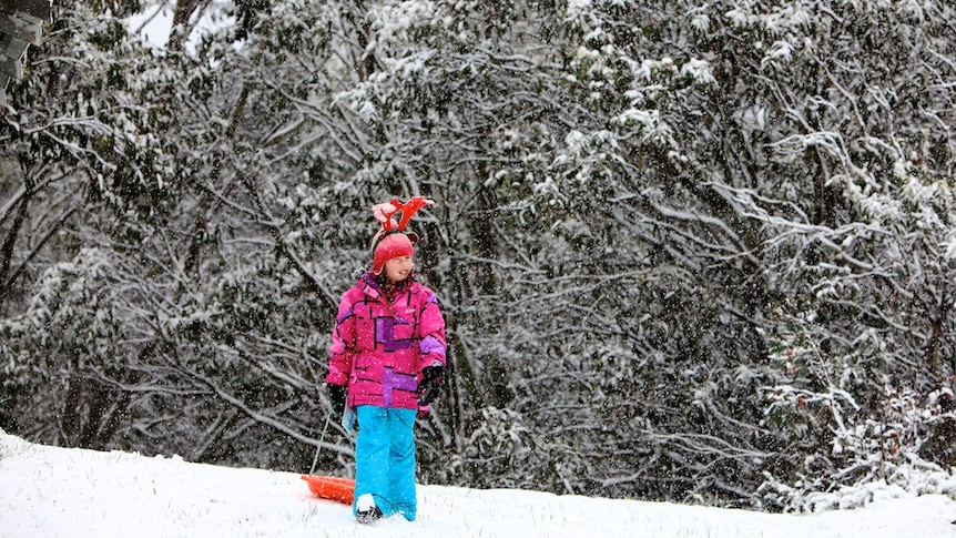 Summer snowfall at Falls Creek in the wake of a cold blast delivered sub-zero temperatures.