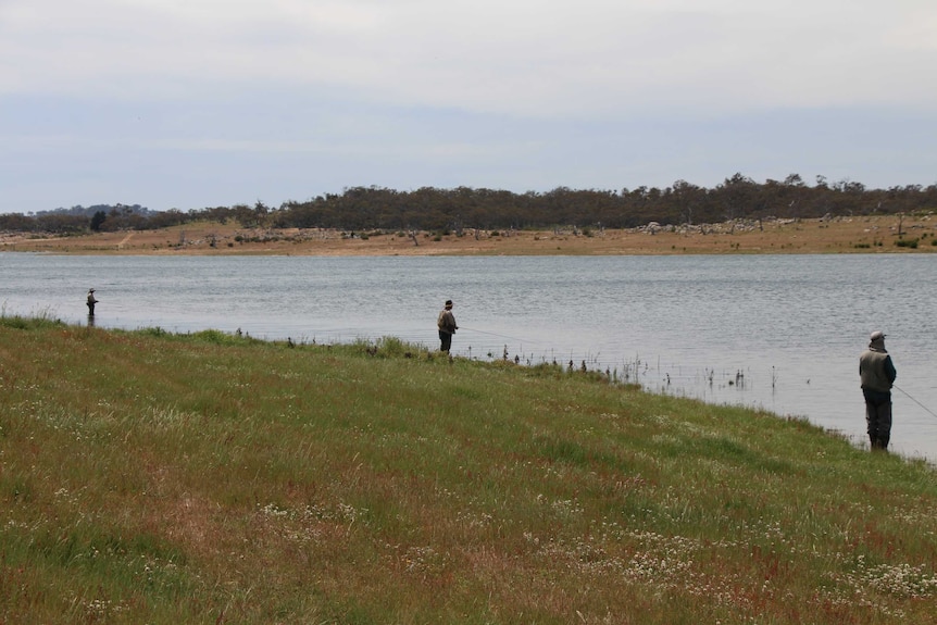 Fly Fishers at Eucumbene