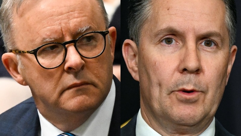 Anthony Albanese 和 Mark Butler 的合成图像