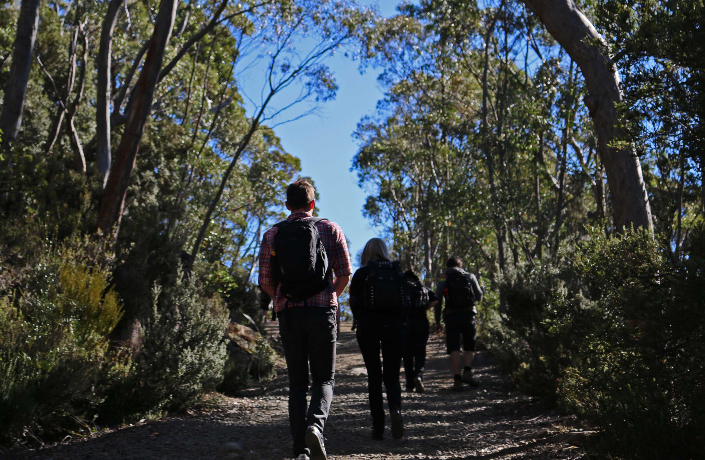 Nightlife Travel - The Ngaro Track