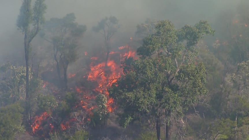 an aerial shot of flames in a forest