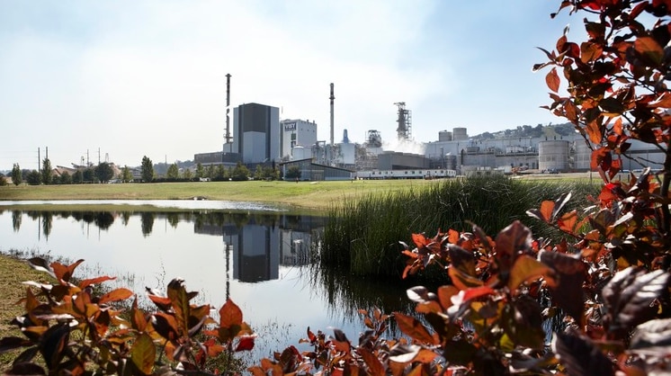 Visy Industries' paper and pulp mill at Tumut in southern NSW