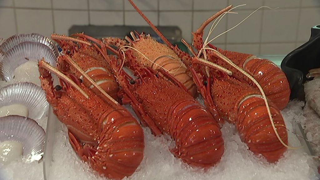 Crayfish Kerfuffle: Australia's biggest fishery in battle to secure ...