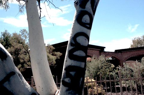 Alice Springs vandalism
