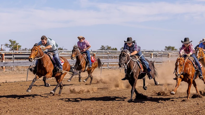 Horse dash to the finish post