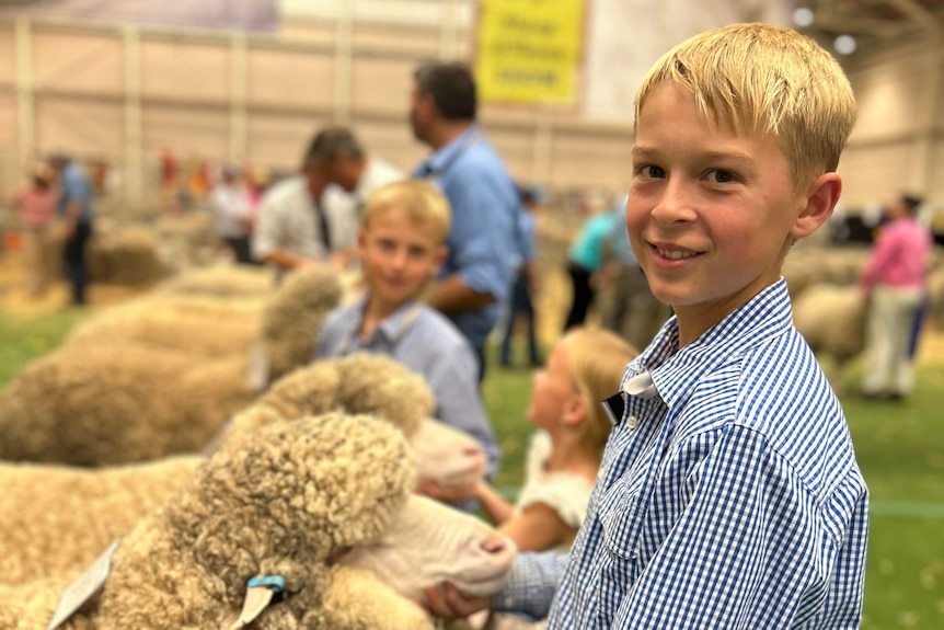 A boy smiling and holding his ewe on the show mat