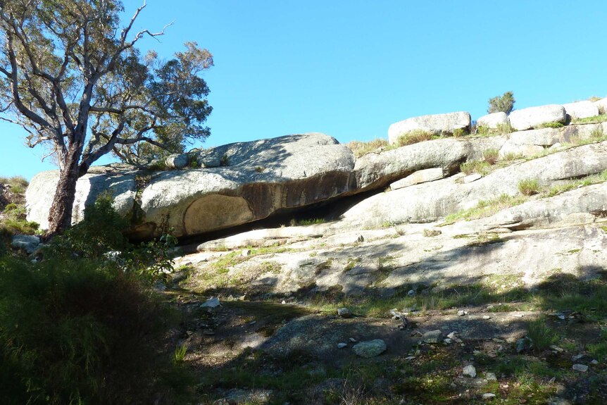 A rocky outcrop in dappled sunlight, shaded by a tree