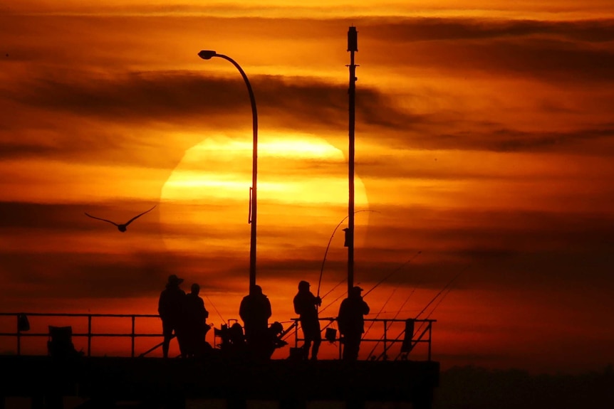 Fishermen on a pier silhouetted against a rising sun.