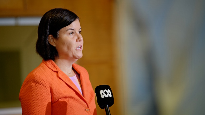 NT Health Minister Natasha Fyles speaking at a press conference. 