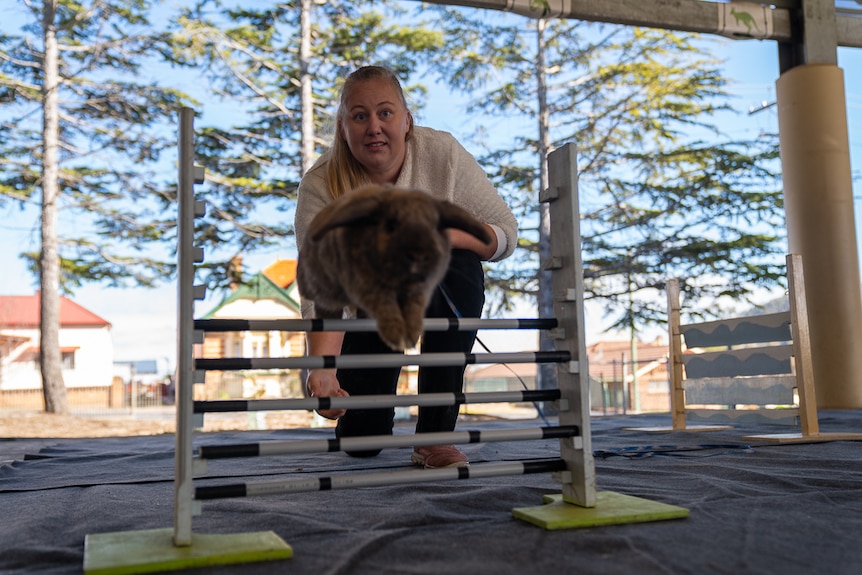 Rabbit hopping with owner Vanessa Allan .