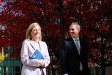 Katy Gallagher and Jim Chalmers walking past the budget tree